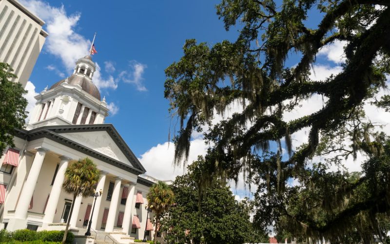 kitchen cabinet contractor in Tallahassee, FL